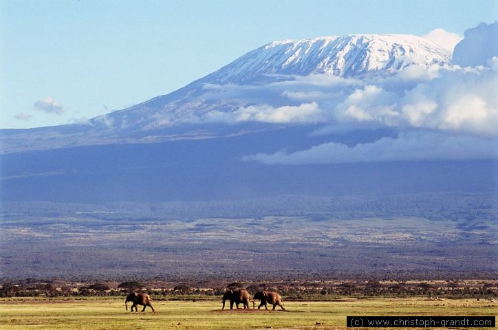 Kilimanjaro and elephants, Amboseli National Park