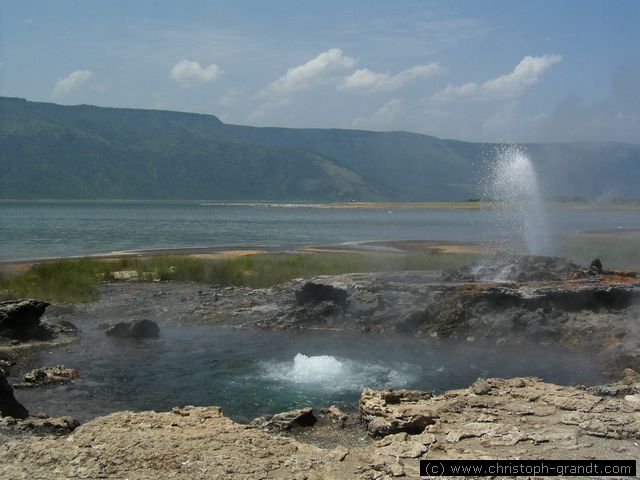 Hot Springs, Lake Bogoria