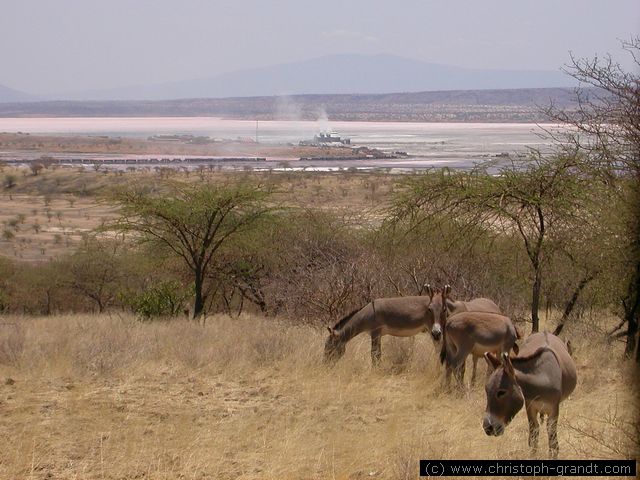 Magadi Soda Factory in the background
