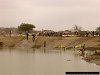 Bangal water reservoir, near Garissa