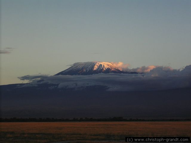 Kilimanjaro in evening sun