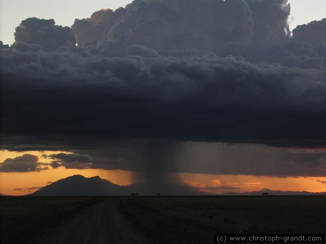 raincloud in evening sun, Amboseli National Park