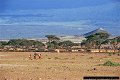 Maasai village, outside Amboseli National Park