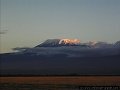 Kilimanjaro in evening sun
