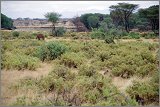 11_Kalacha-Marsabit_Samburu_Park-Nairobi_23