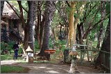 11_Kalacha-Marsabit_Samburu_Park-Nairobi_42