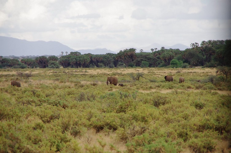 11_Kalacha-Marsabit_Samburu_Park-Nairobi_25