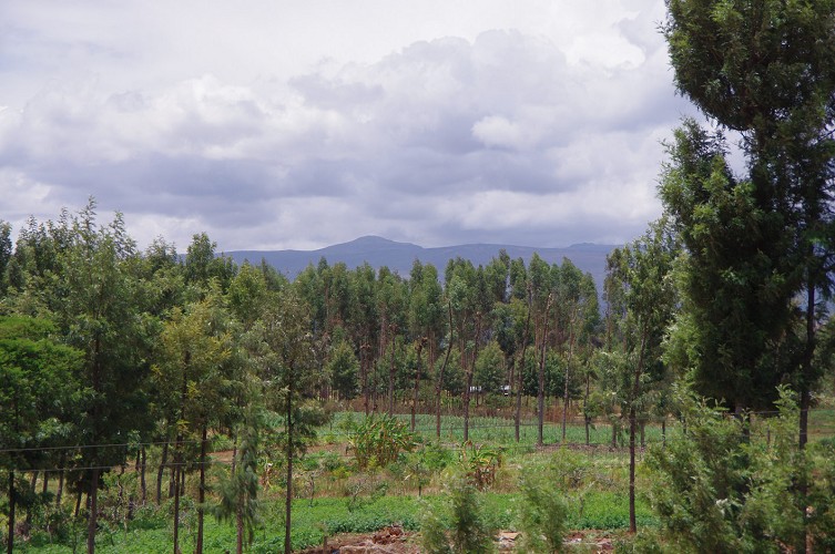 11_Kalacha-Marsabit_Samburu_Park-Nairobi_44