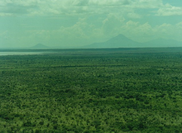 Images/nica_sel_111.jpg