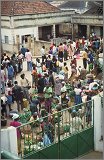 Cabinda(Angola)-Congo-Kenya_009