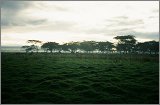 Kenya-Zanzibar-Tanzania-Burundi_014