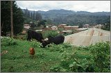 Tanzania-Ruanda-Tanzania_075