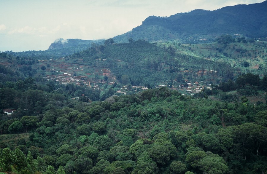 Tanzania-Ruanda-Tanzania_042
