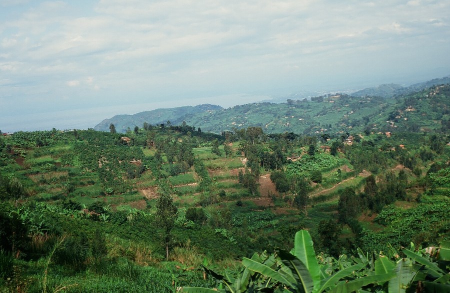 Tanzania-Ruanda-Tanzania_152