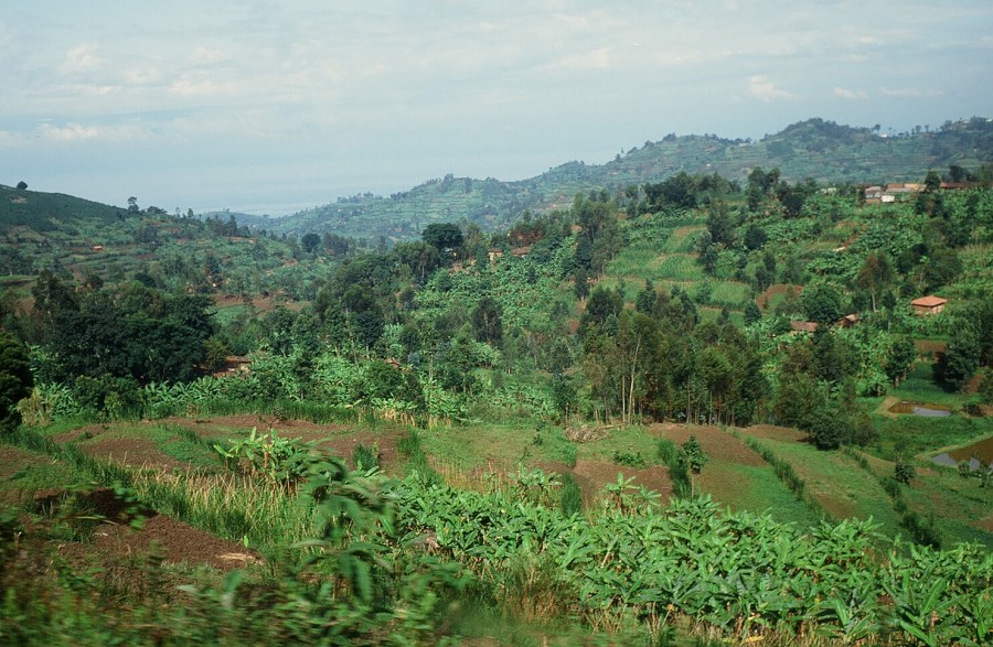 Tanzania-Ruanda-Tanzania_153