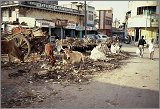 Hyderabad-AndrahPradesh-TamilNadu_086