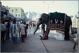 Hyderabad-AndrahPradesh-TamilNadu_114