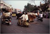Hyderabad-AndrahPradesh-TamilNadu_139