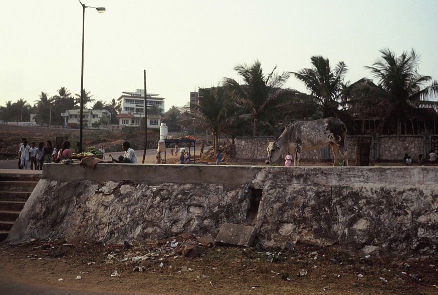 Hyderabad-AndrahPradesh-TamilNadu_007