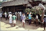 TamilNadu-Kerala_105