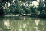 TamilNadu-Kerala_155