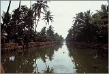 Kerala-Goa_013
