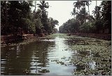 Kerala-Goa_015