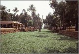 Kerala-Goa_017