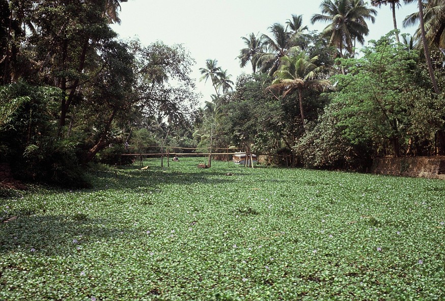Kerala-Goa_018