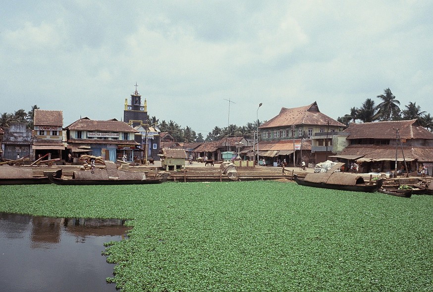 Kerala-Goa_020