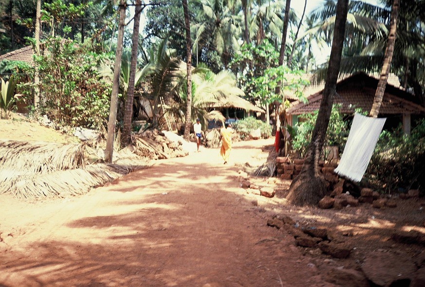 Kerala-Goa_165