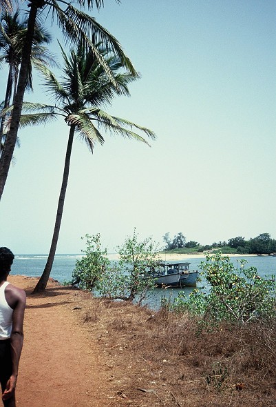 Kerala-Goa_166