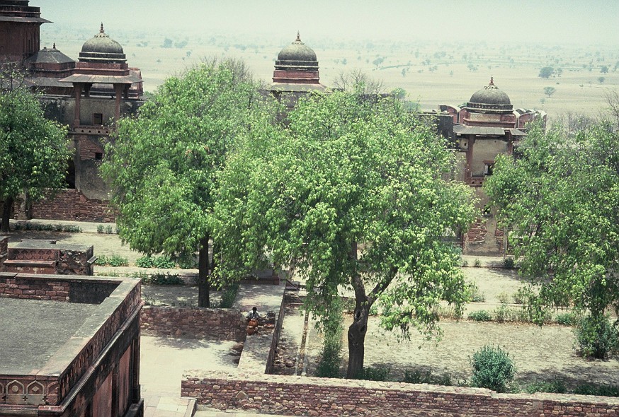 Delhi-Agra_028